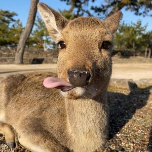 Meet your Posher, Angelyna